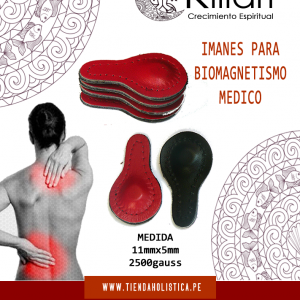 Iman de Neodimio 11mm x 05mm para Biomagnetismo Médico