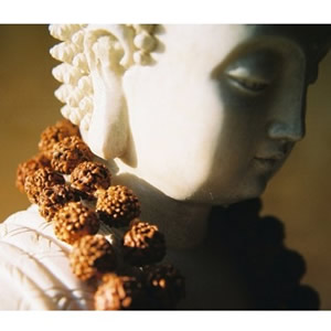 Mala Rudraksha 108 Cuentas_2