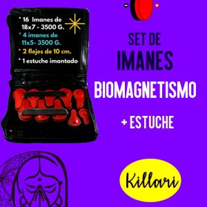 Set de imanes para Biomagnetismo Médico con Estuche