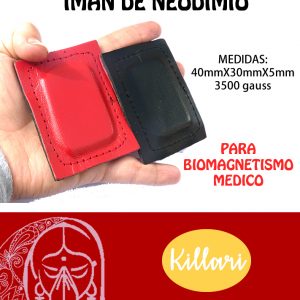 Iman Rectangulo de Neodimio para Biomagnetismo Médico 2