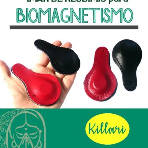 Iman de Neodimio 18mm x 07mm para Biomagnetismo Médico