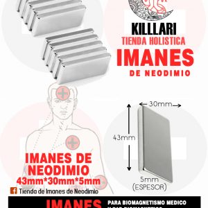 Iman de neodimio 43x30x5