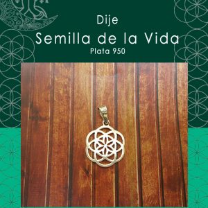 Dije Semilla de Vida Mini Hecho en Plata 950