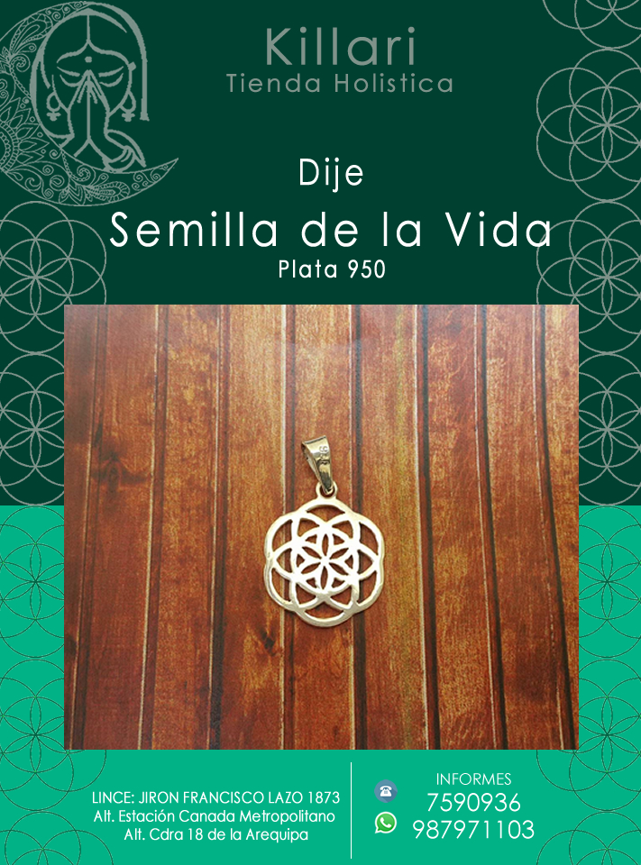 Dije Semilla de Vida Mini Hecho en Plata 950