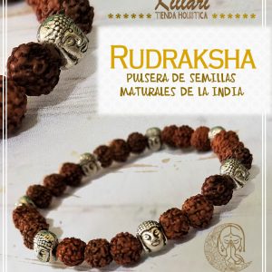 Pulsera con semilla de Rudraksha y Buda