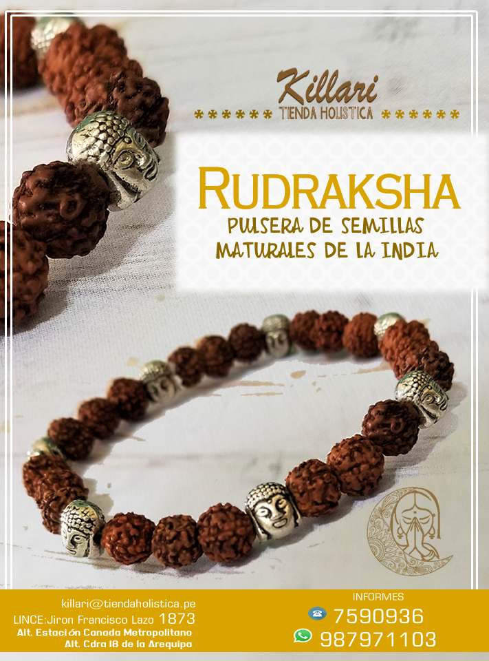 Pulsera con semillas de Rudraksha baby - buda