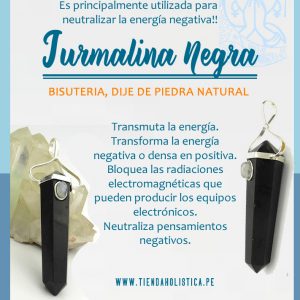 Dije de Turmalina Negra con Piedra Luna