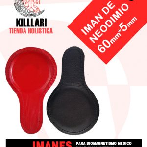 Iman Disco de 60mm*5mm para Biomagnetismo Médico