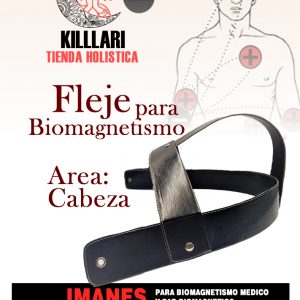 Flejes para Biomagnetismo Medico, Área Cabeza